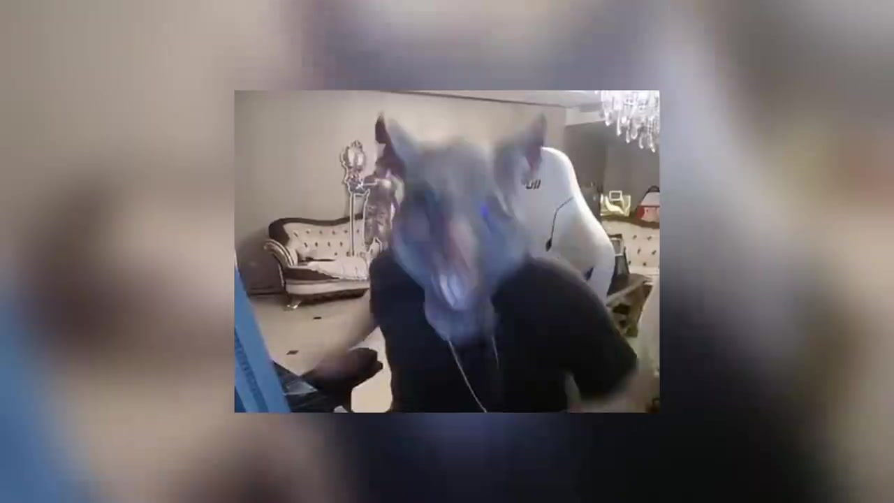 DB视讯官网姿态做智商测试题测出来自己智商110：他说我全是高等水平！